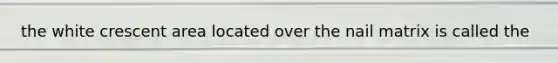 the white crescent area located over the nail matrix is called the