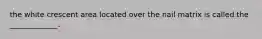 the white crescent area located over the nail matrix is called the _____________.