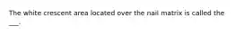 The white crescent area located over the nail matrix is called the ___.