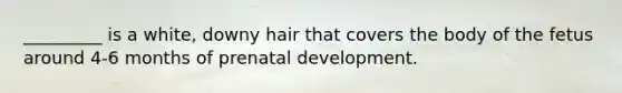 _________ is a white, downy hair that covers the body of the fetus around 4-6 months of prenatal development.