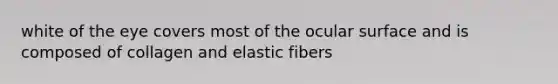 white of the eye covers most of the ocular surface and is composed of collagen and elastic fibers