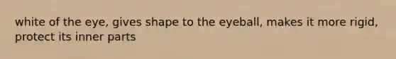 white of the eye, gives shape to the eyeball, makes it more rigid, protect its inner parts