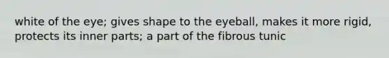 white of the eye; gives shape to the eyeball, makes it more rigid, protects its inner parts; a part of the fibrous tunic