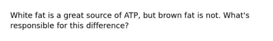 White fat is a great source of ATP, but brown fat is not. What's responsible for this difference?