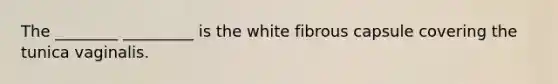 The ________ _________ is the white fibrous capsule covering the tunica vaginalis.