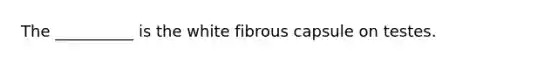 The __________ is the white fibrous capsule on testes.