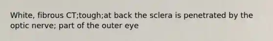 White, fibrous CT;tough;at back the sclera is penetrated by the optic nerve; part of the outer eye