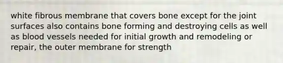 white fibrous membrane that covers bone except for the joint surfaces also contains bone forming and destroying cells as well as blood vessels needed for initial growth and remodeling or repair, the outer membrane for strength