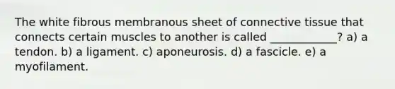 The white fibrous membranous sheet of connective tissue that connects certain muscles to another is called ____________? a) a tendon. b) a ligament. c) aponeurosis. d) a fascicle. e) a myofilament.