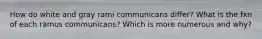 How do white and gray rami communicans differ? What is the fxn of each ramus communicans? Which is more numerous and why?