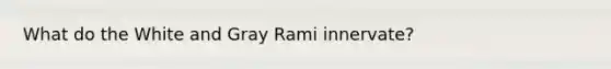 What do the White and Gray Rami innervate?