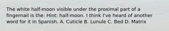 The white half-moon visible under the proximal part of a fingernail is the: Hint: half-moon. I think I've heard of another word for it in Spanish. A. Cuticle B. Lunule C. Bed D. Matrix