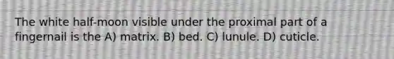 The white half-moon visible under the proximal part of a fingernail is the A) matrix. B) bed. C) lunule. D) cuticle.