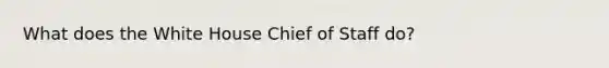 What does the White House Chief of Staff do?