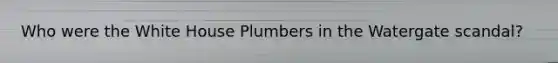 Who were the White House Plumbers in the Watergate scandal?