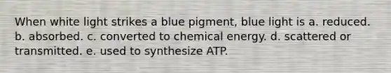 When white light strikes a blue pigment, blue light is a. reduced. b. absorbed. c. converted to chemical energy. d. scattered or transmitted. e. used to synthesize ATP.