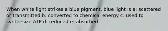 When white light strikes a blue pigment, blue light is a: scattered or transmitted b: converted to chemical energy c: used to synthesize ATP d: reduced e: absorbed