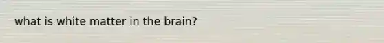 what is white matter in the brain?