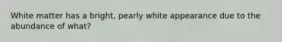 White matter has a bright, pearly white appearance due to the abundance of what?