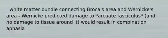 - white matter bundle connecting Broca's area and Wernicke's area - Wernicke predicted damage to *arcuate fasciculus* (and no damage to tissue around it) would result in combination aphasia