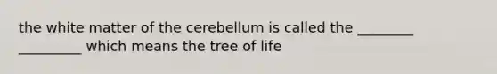 the white matter of the cerebellum is called the ________ _________ which means the tree of life