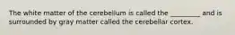 The white matter of the cerebellum is called the _________ and is surrounded by gray matter called the cerebellar cortex.