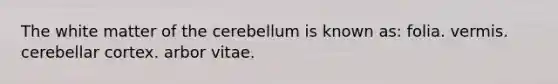 The white matter of the cerebellum is known as: folia. vermis. cerebellar cortex. arbor vitae.