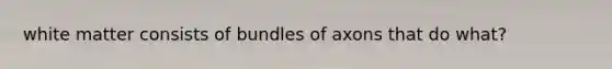 white matter consists of bundles of axons that do what?