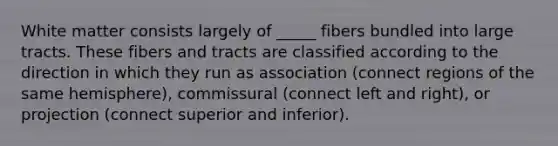 White matter consists largely of _____ fibers bundled into large tracts. These fibers and tracts are classified according to the direction in which they run as association (connect regions of the same hemisphere), commissural (connect left and right), or projection (connect superior and inferior).