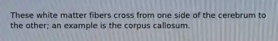 These white matter fibers cross from one side of the cerebrum to the other; an example is the corpus callosum.