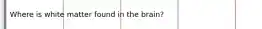 Where is white matter found in the brain?