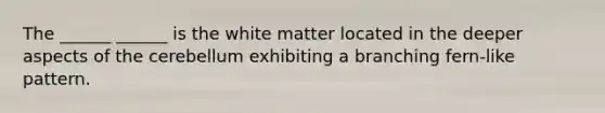 The ______ ______ is the white matter located in the deeper aspects of the cerebellum exhibiting a branching fern-like pattern.