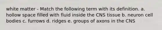 white matter - Match the following term with its definition. a. hollow space filled with fluid inside the CNS tissue b. neuron cell bodies c. furrows d. ridges e. groups of axons in the CNS