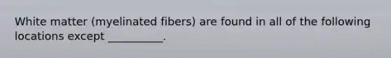 White matter (myelinated fibers) are found in all of the following locations except __________.