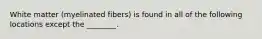 White matter (myelinated fibers) is found in all of the following locations except the ________.