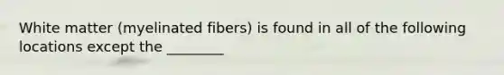 White matter (myelinated fibers) is found in all of the following locations except the ________