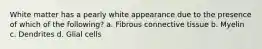 White matter has a pearly white appearance due to the presence of which of the following? a. Fibrous connective tissue b. Myelin c. Dendrites d. Glial cells