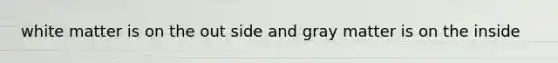 white matter is on the out side and gray matter is on the inside