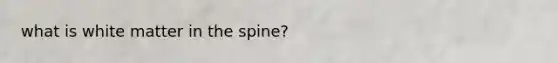 what is white matter in the spine?