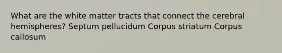 What are the white matter tracts that connect the cerebral hemispheres? Septum pellucidum Corpus striatum Corpus callosum