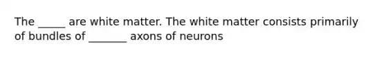 The _____ are white matter. The white matter consists primarily of bundles of _______ axons of neurons