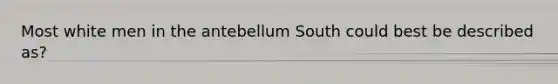 Most white men in the antebellum South could best be described as?