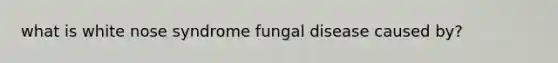 what is white nose syndrome fungal disease caused by?