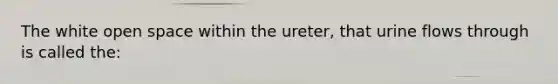 The white open space within the ureter, that urine flows through is called the: