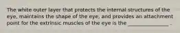 The white outer layer that protects the internal structures of the eye, maintains the shape of the eye, and provides an attachment point for the extrinsic muscles of the eye is the ________________ .