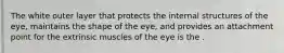 The white outer layer that protects the internal structures of the eye, maintains the shape of the eye, and provides an attachment point for the extrinsic muscles of the eye is the .