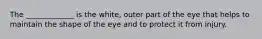 The _____________ is the white, outer part of the eye that helps to maintain the shape of the eye and to protect it from injury.