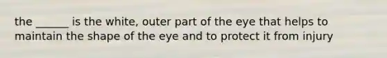 the ______ is the white, outer part of the eye that helps to maintain the shape of the eye and to protect it from injury