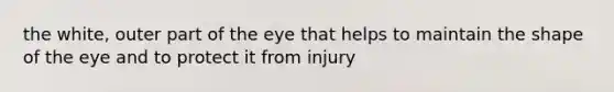 the white, outer part of the eye that helps to maintain the shape of the eye and to protect it from injury