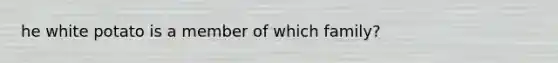 he white potato is a member of which family?